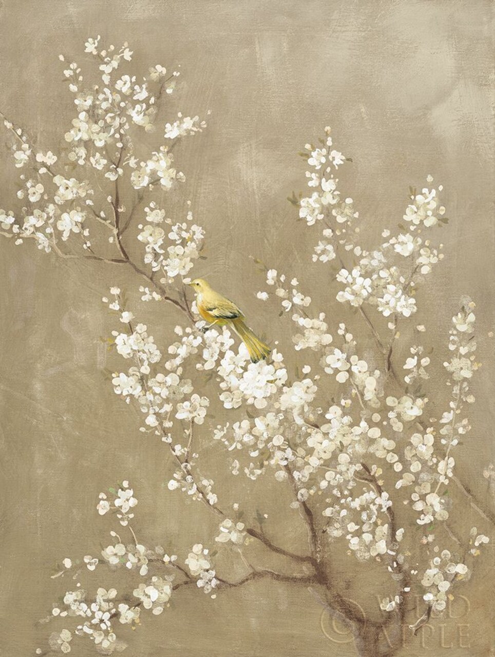 White Cherry Blossom Ii Neutral Crop Bird Poster Print by Danhui Nai - Item # VARPDX22470